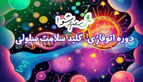 دوره اتوفاژی، کلید سلامت سلولی